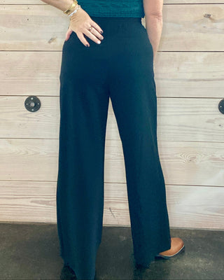 Black Pleated Front Knit Wide Leg Pant