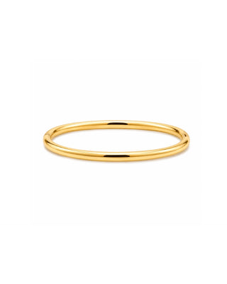 Ellie Vail Tess bangle bracelet featuring a sleek 4mm water-resistant stainless steel design with a hinged closure.