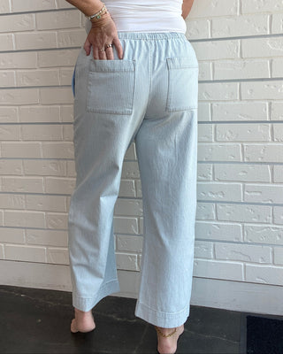 Railroad Stripe Soft Denim Carpenter Pant