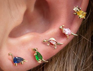 Dinosaur Dance Stud Set
